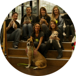 the pixie project company team with dogs
