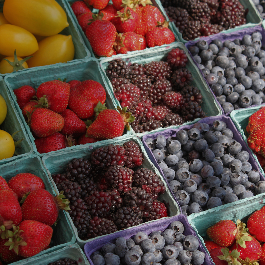 Berry picking in Oregon